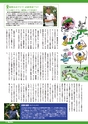 バリューゴルフ11月号　関西版